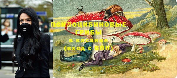 гашик Корсаков