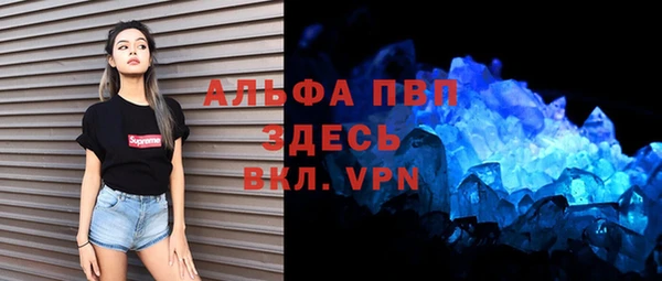 твердый Коряжма