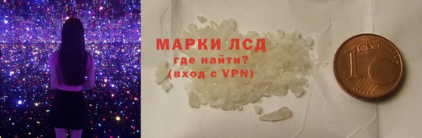 гашик Корсаков