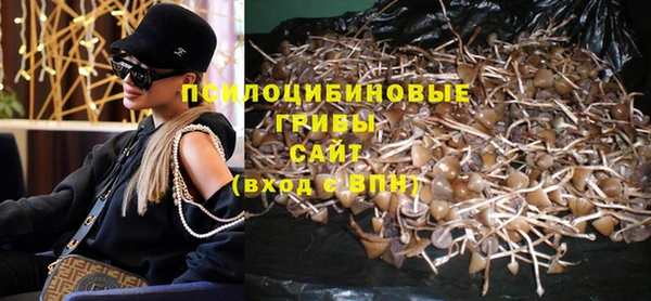 гашик Корсаков