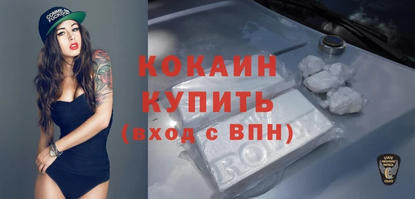 гашик Корсаков