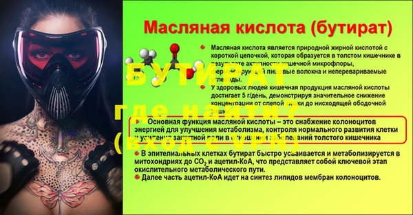 гашик Корсаков