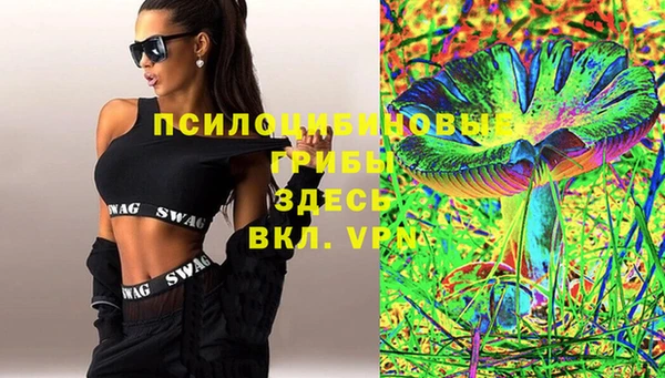 твердый Коряжма