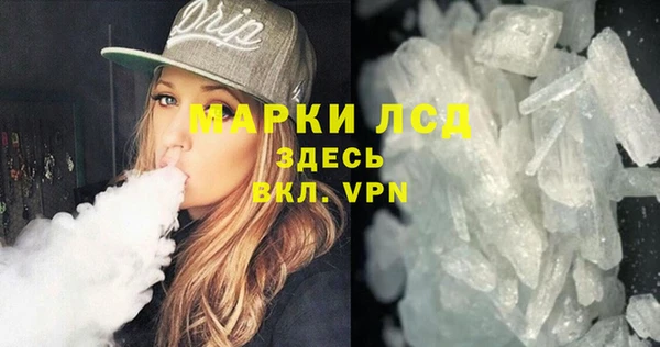 гашик Корсаков