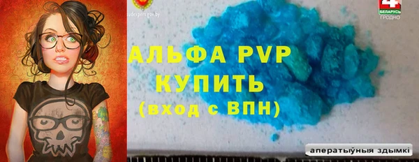 гашик Корсаков