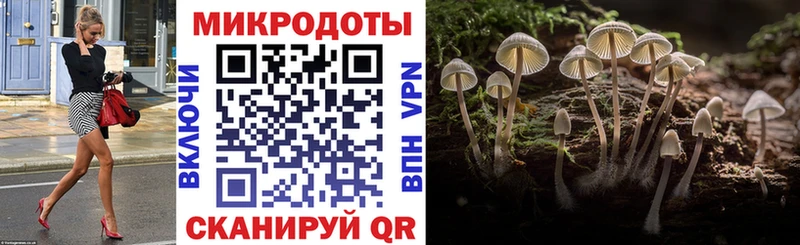 Купить закладки  Багратионовск  Псилоцибиновые грибы Magic Shrooms 